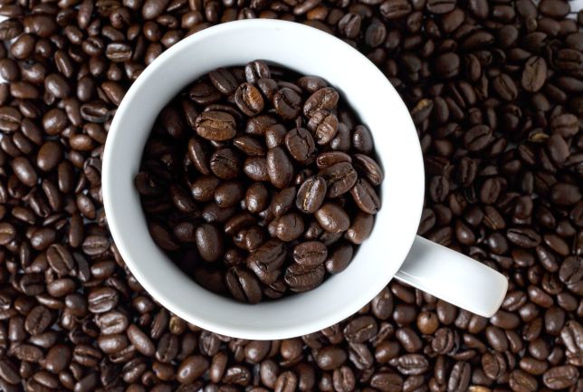 دو گونه اصلی قهوه روبوستا و قهوه عربیکا