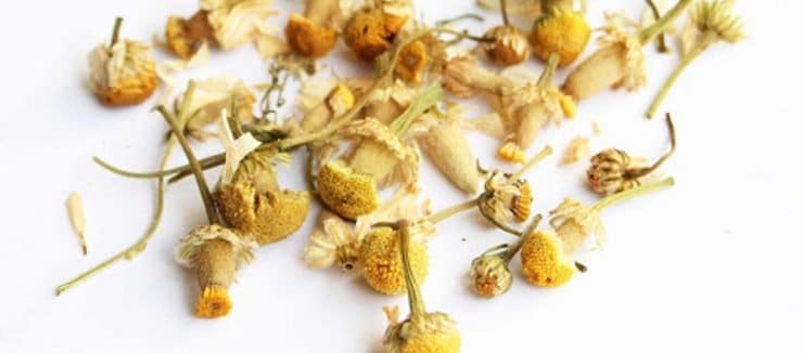 فواید چای بابونه و عوارض جانبی آن (3)