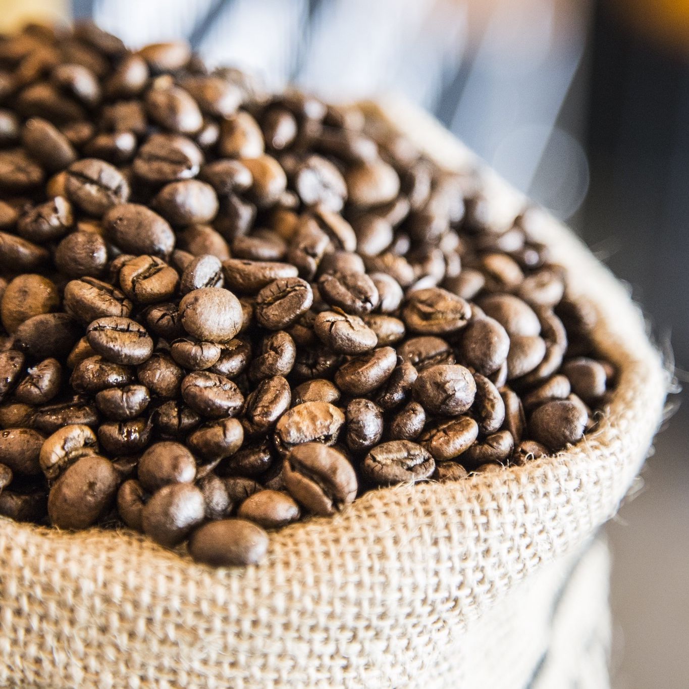 Ethiopia’s Coffee-Growing Areas May Be Headed for the Hills