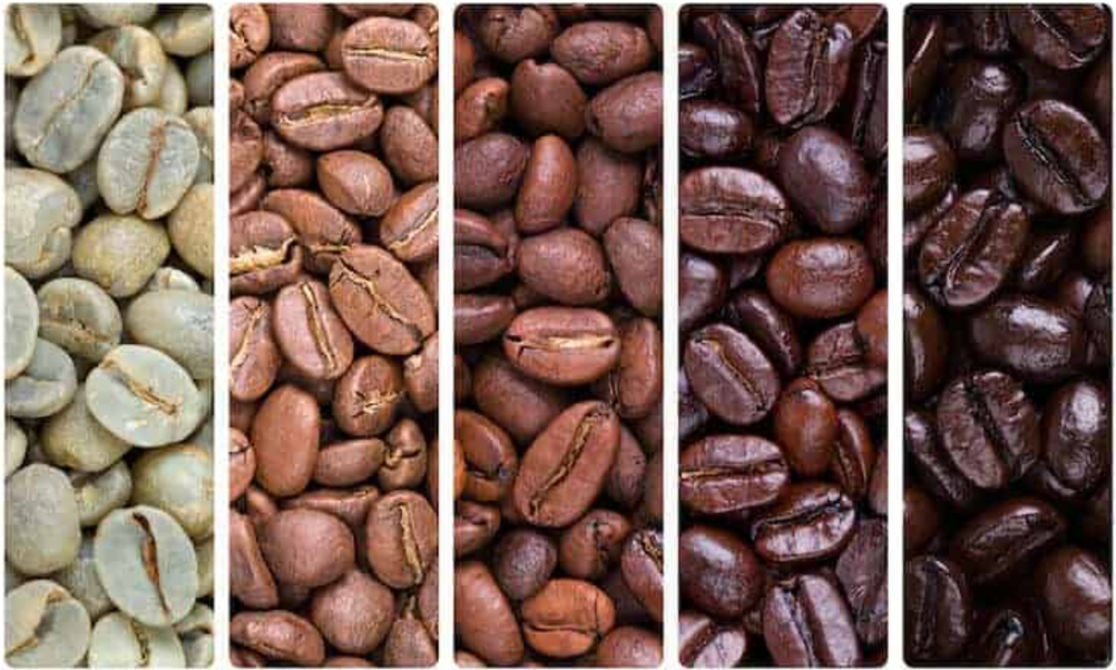 THE JOURNEY FROM THE SEED TO YOUR CUP